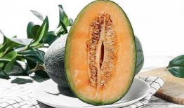 动漫吃哈密瓜,动漫中的甜蜜诱惑