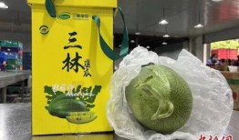 三林崩瓜什么时候吃最好,“三林崩瓜的最佳食用时机揭秘”