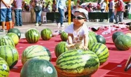 瓜王吃瓜王,瓜王吃瓜王，谁主沉浮？