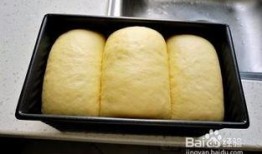 瓜妞吃南瓜吐司,瓜妞的南瓜吐司美食之旅