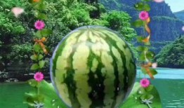 188sx吃瓜,揭秘娱乐圈背后的那些事儿