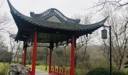 小亭子吃瓜,夏日消暑趣事一箩筐