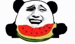 小白狗吃瓜群众,吃瓜群众的趣味生活