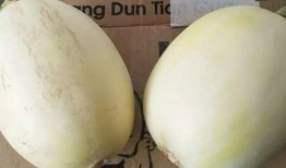 吃瓜价,揭秘娱乐圈明星片酬背后的秘密