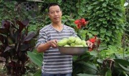 吃兔儿瓜季节,尽享兔儿瓜的鲜美时光