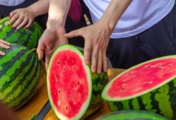 吃瓜 学校,揭秘“吃瓜”背后的校园生活