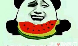 吃瓜借钱什么梗,揭秘网络热梗背后的真实故事