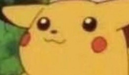 吃瓜了皮卡丘,萌宠界的“八卦”风云