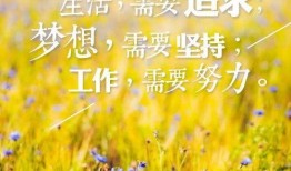 吃瓜群众早安语录图片,开启一天轻松幽默的心情之旅