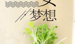 吃瓜群众早安语录图片,开启一天轻松幽默的心情之旅