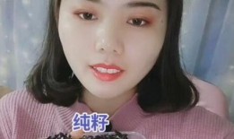 中山婷婷吃瓜,瓜田里的美食探索之旅