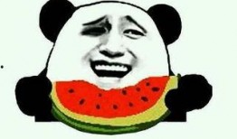 工地吃瓜视频,揭秘工地生活百态