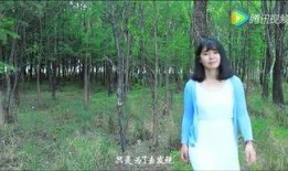 若兮吃瓜,揭秘娱乐圈背后的那些事儿