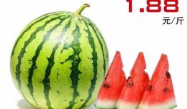 夏天吃吊瓜,吊瓜美食之旅