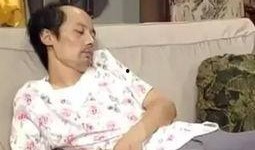 汤圆吃瓜表情包,趣味横生的网络文化现象