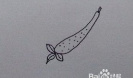 吃瓜简单画法教程,跟随简单教程轻松绘制吃瓜图