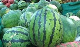 贵州老瓜怎么吃,解锁传统美食新体验