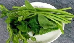 兰瓜腾怎么吃,解锁美味新体验