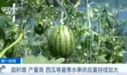 夏至吃瓜群众视频,跟随吃瓜群众探寻传统习俗