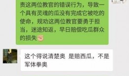 吃瓜群众相关教案,揭秘网络围观现象背后的心理与社会效应
