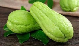 老玉瓜怎么吃,解锁美味新体验