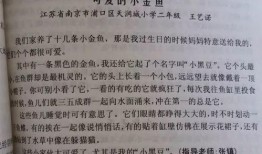 观察吃瓜作文怎么写,吃瓜群众眼中的百态人生