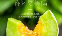 网红吃瓜合集