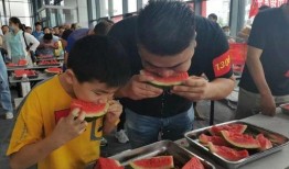 免费吃瓜群众聚集,揭秘网络热议背后的狂欢现场