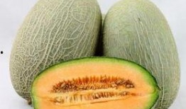 孕晚期吃哈密瓜,营养美味，助力母婴健康