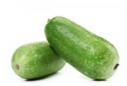 吃瓜容易尿,揭秘吃瓜与尿生成之间的奇妙关系