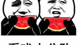 吃瓜大佬表情包,揭秘网络热图的幽默魅力