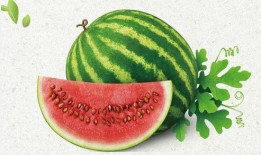 喊我吃瓜又不放瓜,喊我吃瓜，却始终不放瓜的神秘事件