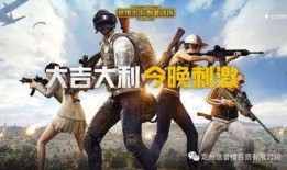 瓜仔吃鸡号,揭秘游戏背后的趣味人生