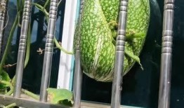 吃瓜翻窗户,揭秘娱乐圈背后的故事