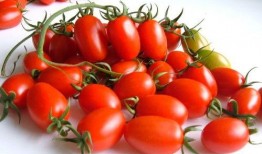 吃瓜社小分社,揭秘娱乐圈幕后故事