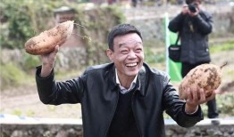 吃瓜群的瓜是真的吗,瓜真的还是假的？