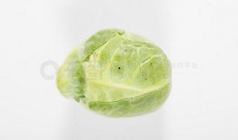 往年吃瓜今年吃瓜图片大全