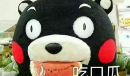 吃瓜隐喻意思解释,揭秘“吃瓜群众”背后的社会现象与心理解读