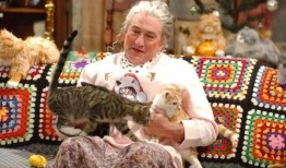 赤月cat吃瓜,揭秘娱乐圈幕后风云