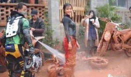 女骑士吃瓜,一场甜蜜的冒险之旅