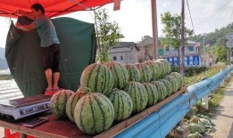 汉源小学吃瓜事件,校园食品安全引发关注