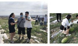 吃野瓜父女,父子共赴探险之旅