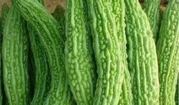 瓜怎么吃最舒服,揭秘最舒适的瓜类食用方法