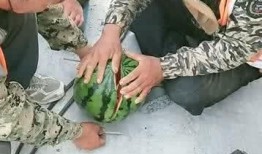 工地吃瓜视频,揭秘工地生活百态