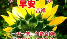 吃瓜群众早安语录图片,开启一天轻松幽默的心情之旅