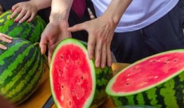 成都大学吃瓜爆料