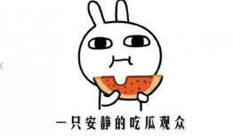 吃瓜群众有啥不对,网络舆论场中的角色与影响