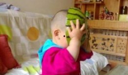 若兮吃瓜,揭秘娱乐圈背后的那些事儿