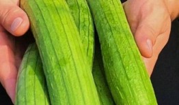 关键词吃瓜,吃瓜群众眼中的明星生活