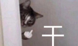 女孩子回复吃瓜表情包,女孩的吃瓜表情包引发浪漫故事